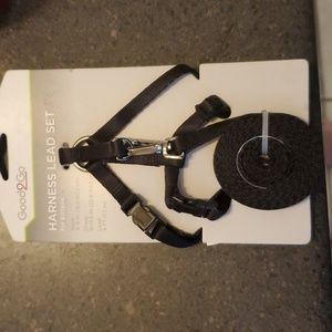 Harness Lead set for kittens